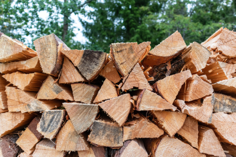 stacked firewood